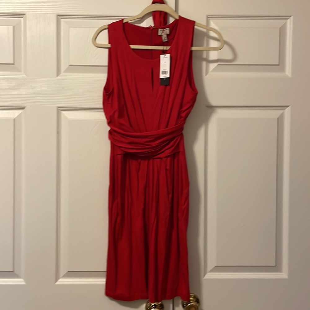NWT Banana Republic Dress